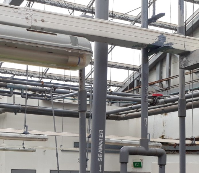 Mechanical Work